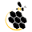 Premier Bee Products Icon