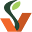 Vineskills Icon