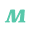 Mint Skin Icon
