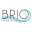 Brio Skin Studio Icon