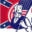 Ultimate Flags Icon