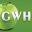 Green Wisdom Health Icon