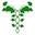 Eat Love Holistic Icon
