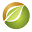 Valley Integrative Pharmacy Icon