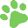 Collar & Leash Pet Shop Icon