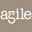 AGILE Icon