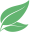 Tea Soulution Icon