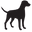 Euro Dog Icon