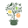 Zest Kitchen Shop Icon