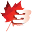 Bnisupplements Icon