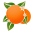 Orange Family Dentistry Icon