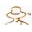 DivApp Icon