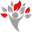 Kinoci Icon