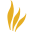 Ffoz Icon