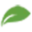 Plant VIsta Icon