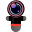 Wiziwig Pro Icon