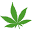 CBDshop24.de Icon