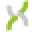 Xuma Icon