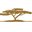 Olivado Icon