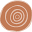Native Secrets Icon