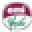 Emi Yoshi Icon