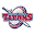 Detroit Mercy Titans Icon