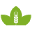 Bioitalia Icon