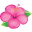St. Tropica Icon