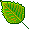 SaunaStore Icon