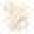 Tiny Toes Boutique Icon