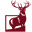 The AARP Auto Insurance Icon