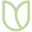 Green Tulip | Ethical Gifts Icon