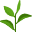 Nutra Tea Icon