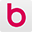 Burdastyle Icon