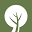 FortyTree Icon