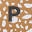 Panga Icon