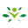 Swanson Vitamins Icon