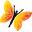 Zanducare Icon