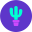 Lasso Icon
