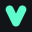 Vapi Icon