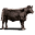 KC Grass Fed Beef Icon