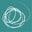 Chino Creations Icon