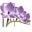Flowers by Fudgie Florist & Flower Delivery Icon