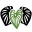 Kava Depot Icon