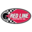 Red Line Synthetic Oil Icon