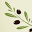 Lake George Olive Oil Icon