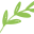 Naples Olive Oil Icon