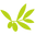 The Olive Oil Co. Icon