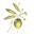 Verde Valley Olive Oil Traders Icon