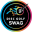 Disc Golf Swag Icon